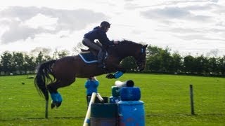 Callie jumping amazing in the field.