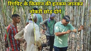 रिंगपिट के किसान का खेत देखकर नोकरी छोड़ दोगे। Ringpit Sugarcane Farming.