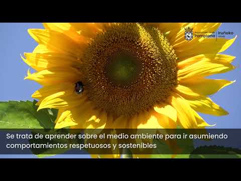 Talleres de verano en el Museo de Educaci&oacute;n Ambiental