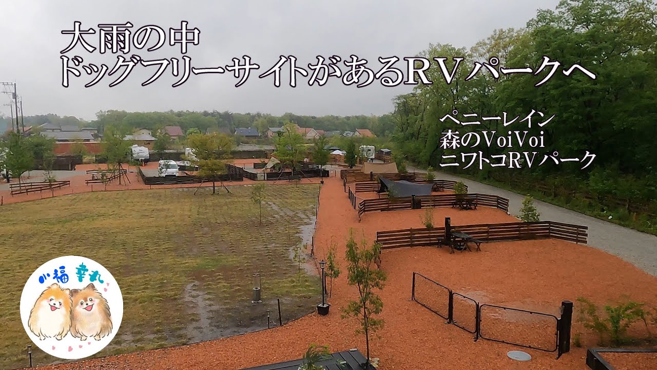 【再開】雨の中、ドッグフリーサイトのあるRVパークへ【ニワトコRVパーク】