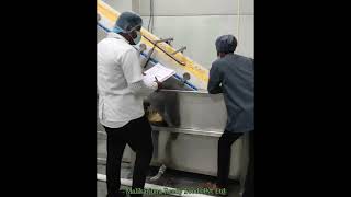 Sweet Corn Processing Line | Full Automation in Action