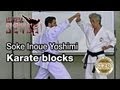 Soke Inoue Yoshimi teaching karate blocks - Summer Camp 2013