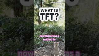 What is TFT? 🦶 Exploring Thought Field Therapy for Self Healing