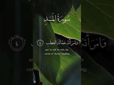 سورة المسد القارئ اسلام صبحي 