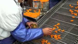 Mandarin Orange - Selecting the Oranges