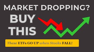 The 3 Best ETFs To PROTECT Your Portfolio From a Market Crash