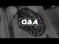 Ball Pythons Q&A ft Aesklepian Exotics