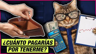 Tener un gato... es CARO?? 😺💸💸 LA GATERÍA TV by La Gatería TV 3,500 views 1 year ago 8 minutes, 7 seconds