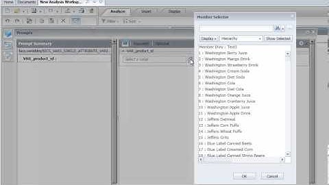 4 1 AOLAP HANA prompts use