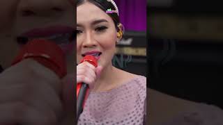 Download Lagu BANYU MOTO - Dory Harsa, Nella Kharisma #inidangdut #banyumoto #shorts #srnentertainment #dangdut MP3