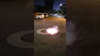LADY BUG, FIREWORKS