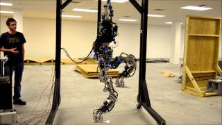 THOR Range of Motion Test