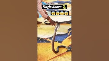 Nagin dance 🐍🐍🐍 #shortvideos #shortsfeed #shortsviral #shorts #shortvideo #short #shortsvideo #reels