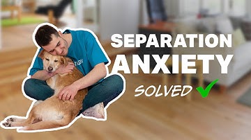 Change this ONE KEY THING to FIX your dog