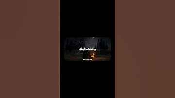 سورة الحشر | #quran #قرآن #المصحف
