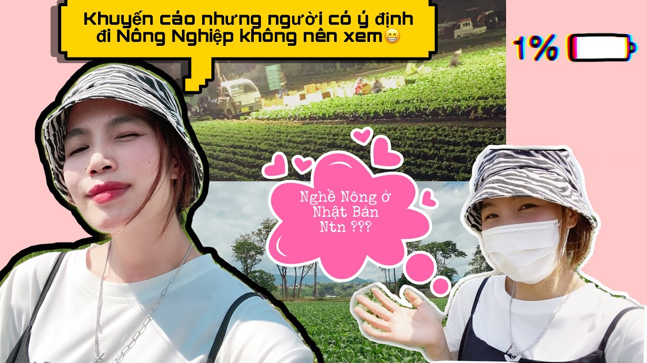 Hàng Đầu Ninh Thuận: 9 Công Ty Xuất Khẩu Lao Động Chất Lượng Cao Đáng Chú Ý