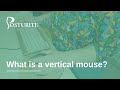 What is a vertical mouse posturite ergonomic expert explains