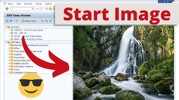 SAP GUI Tip: Change the Start Image Like a Pro