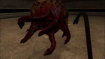 Half Life: Source shadow bug