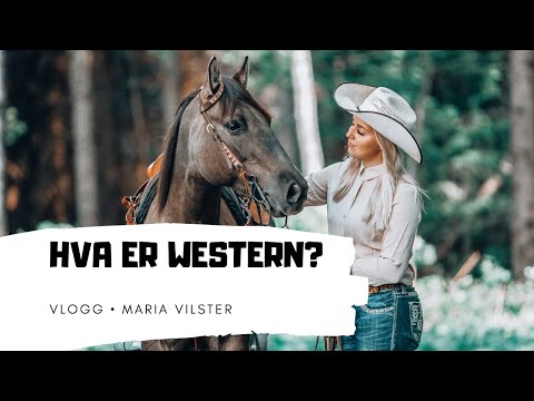 Video: Hvordan beregne kostnadseffektiviteten til de foreslåtte aktivitetene?