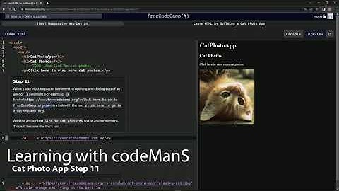 Learn HTML by Building a Cat Photo App - Step 11