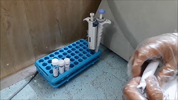 Thyroid Function Tests (mini Vidas)