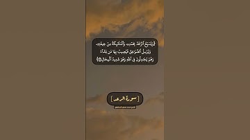 سورة الرعد الآية ١٢ و ١٣ بصوت الشيخ محمد صديق المنشاوي