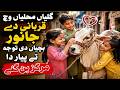 Eid-ul-Adha 2026 | Eid animals have become the center of children’s attention and affection|Pakistan