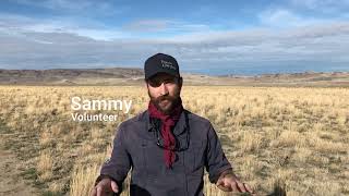 Volunteers Lend a Hand to Public Lands @BLMIDAHO