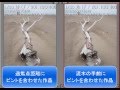 写真の秘訣 広角レンズのピント合わせ