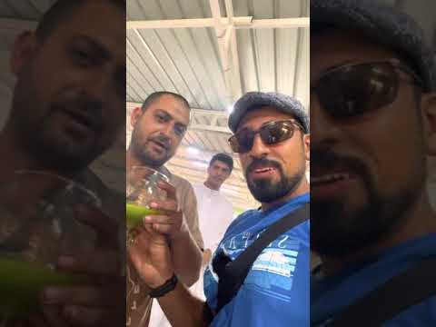 عمرك شربت زيت زيتون قبل كده وللتواصل مع المعصره ٠١٠١٧٩٤٤٤٧٢