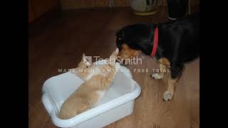 Eima - Bielka Miela Official Audio