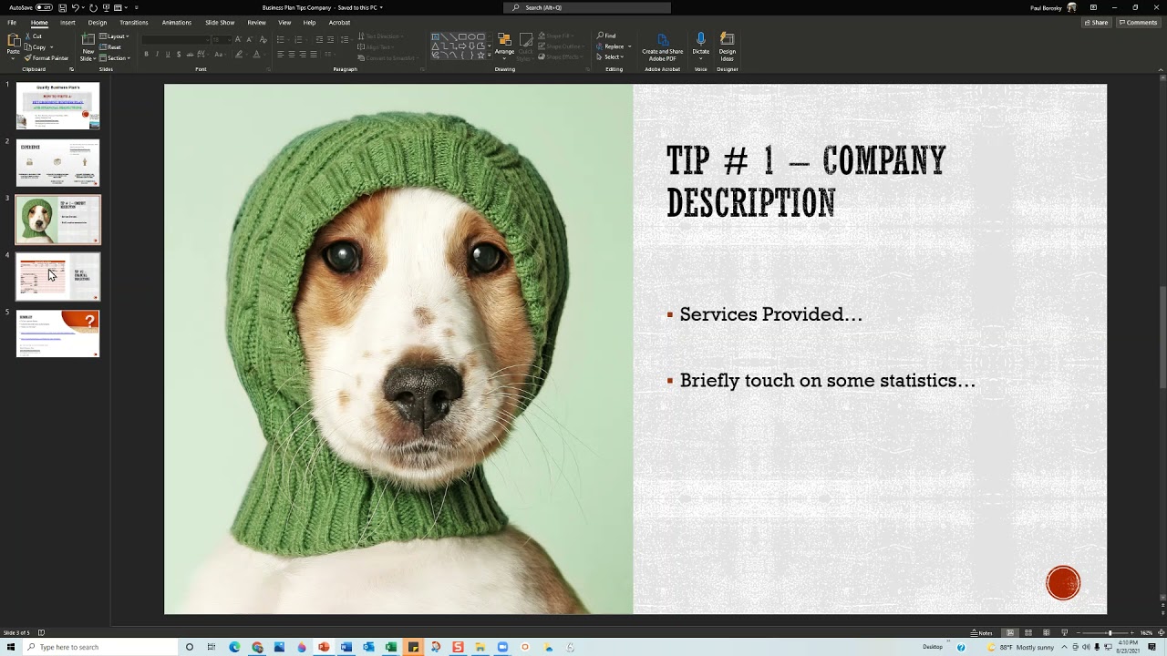 How to write a Pet Grooming Business Plan by Paul Borosky, MBA. Business Plan Tips and Tricks