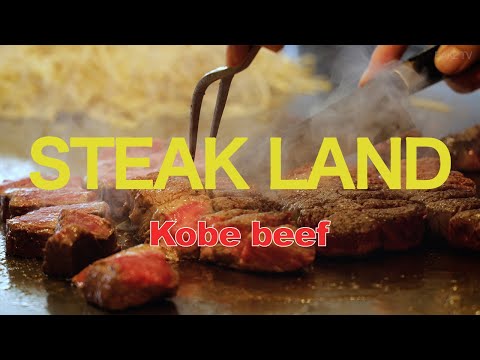 일본 고베 와규 스테이크랜드 Japanese Kobe Wagyu Restaurant Steak Land Sketch Film