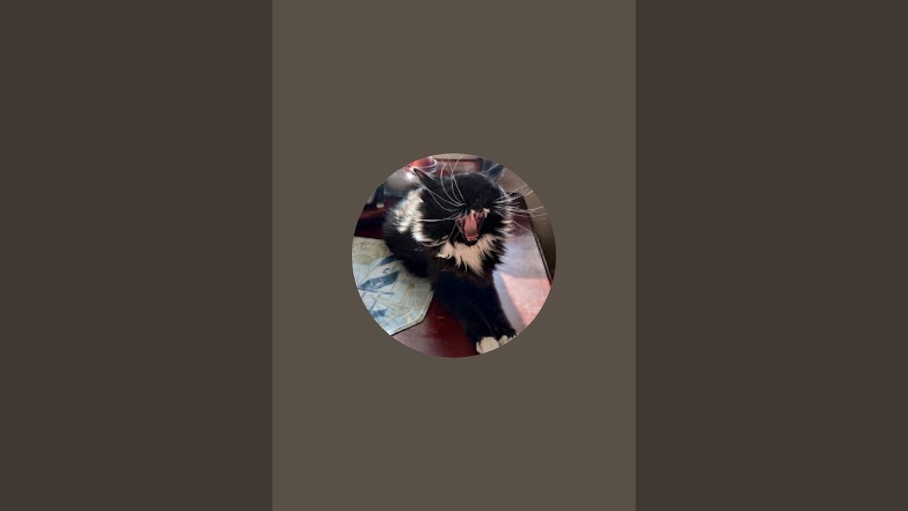 Olga (USA) Чёрное море  is live!