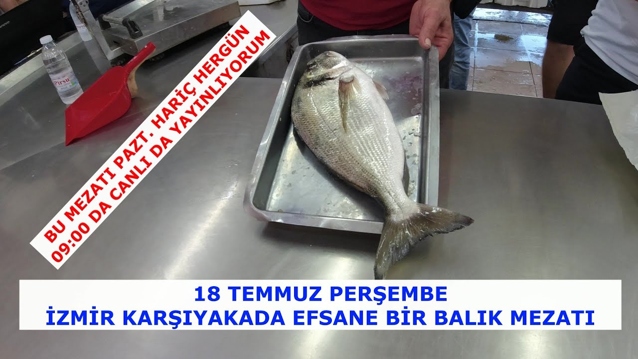 18 TEMMUZ PERŞEMBE. İZMİR KARŞIYAKADA EFSANE BİR BALIK MEZATI. HERGÜN 09:00 DA AYRICA CANLI YAYIN.