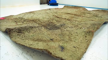 This Designer Rug Was Stuffed in a Trash Bin – Can It Be Saved? - Carpet Cleaning ASMR