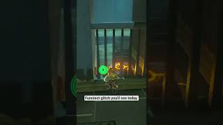 Did you know this glitch ?? #botw