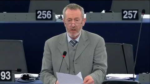 Implementation of the Common Foreign and Security Policy - Plenary, Dec. 2016