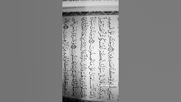 سورة يوسف ( وجاءوا علىٰ قميصه بدم كذب)