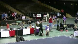 Naomi DeVries - L 10 - 2009 Regionals Vault