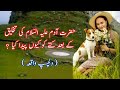 Hazrat Adam ki Paidaish ka Waqia | Kutte  ki Paidaish Kaise Hui | Eliza info