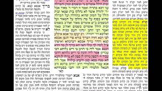 הדף היומי מסכת פסחים דף קג Daf yomi Pesachim daf 103 להצלחת נאור בראון