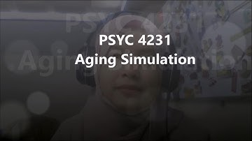 Video Aging Simulation