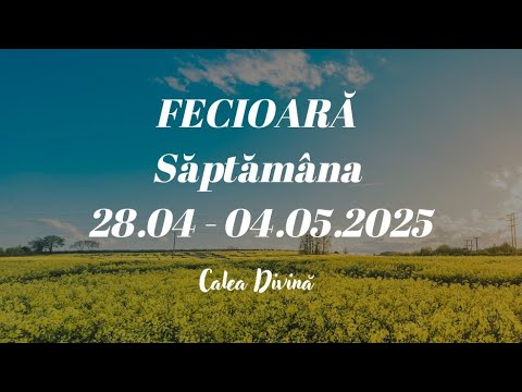 FECIOARĂ - 28.04