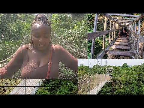 Scary Canopy Walk 😱 | Longest Canopy Walk In Africa | Tourist Lagos | Lekki Conservation Centre |