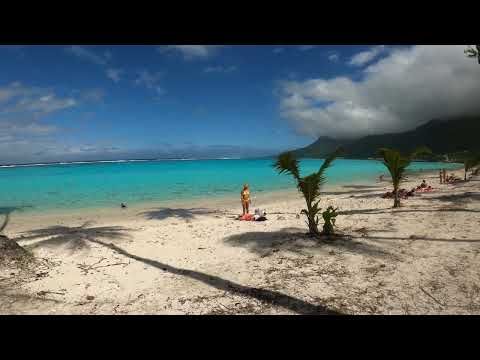 Video: Le migliori spiagge di Tahiti Da Moorea alle Tuamotus