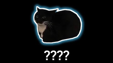 13 Maxwell The Cat Sound Variations in 52 Seconds Part 11