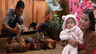 Download Lagu Mrs. Ha Finally Tells Grandpa the Truth About Thuy’s Story: Selling All the Chickens at the Farm MP3