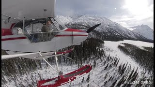 S21Ep9: Final Trap Check for the Season! Supercub in Action!